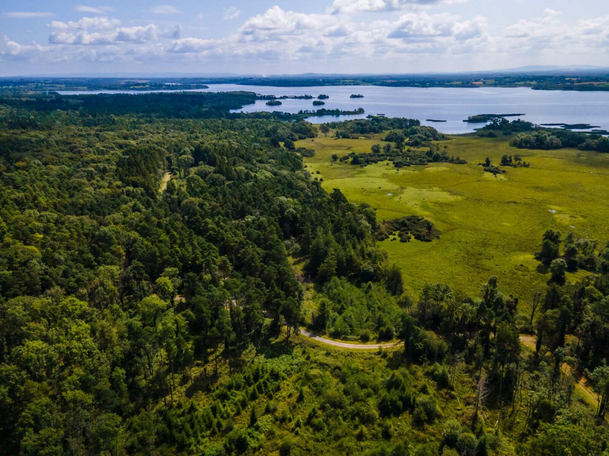 Portumna-Forest-Park-Lough-Derg